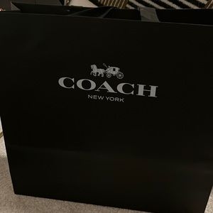 Large shopping bag (not a purse)